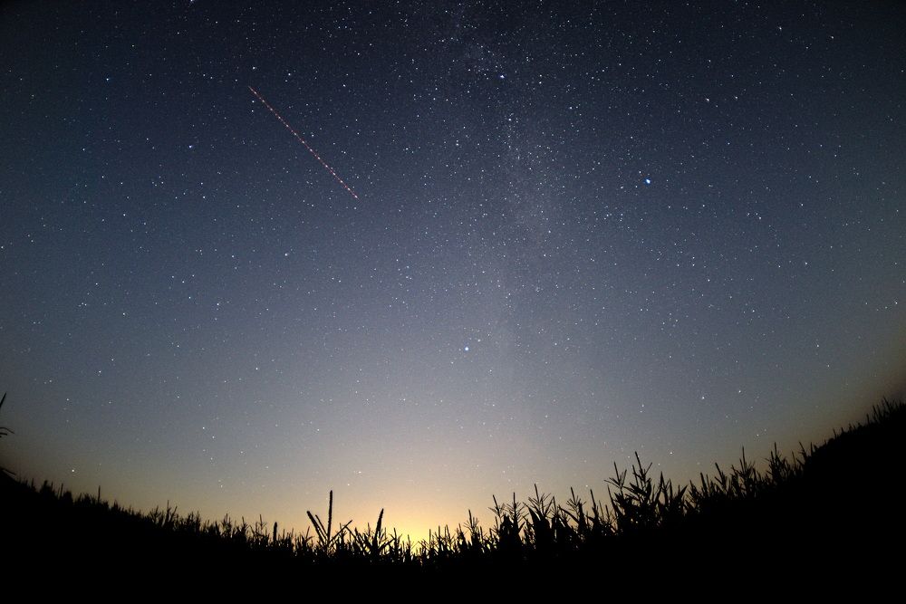 Фотография автора Алексей Григорьев