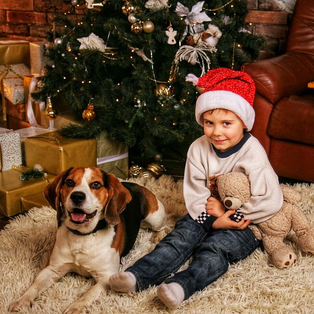 Photograph by Марина Безенкина