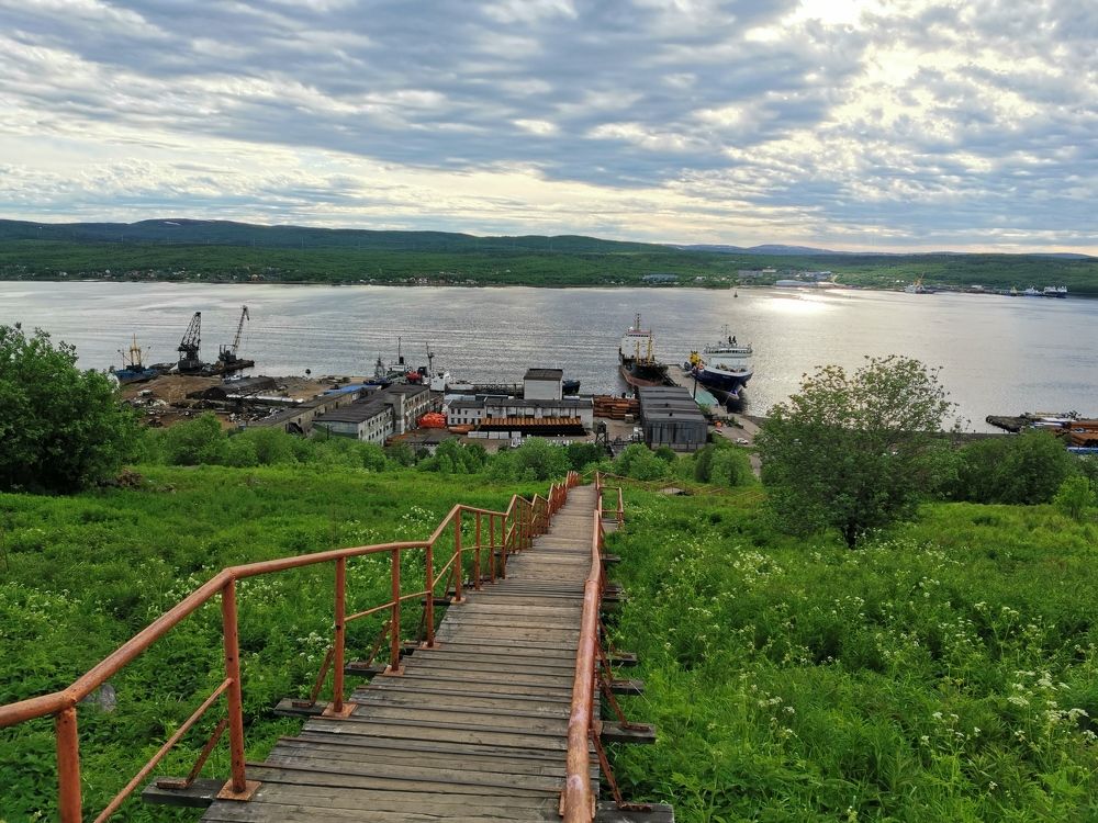 Неожиданная встреча на прогулке