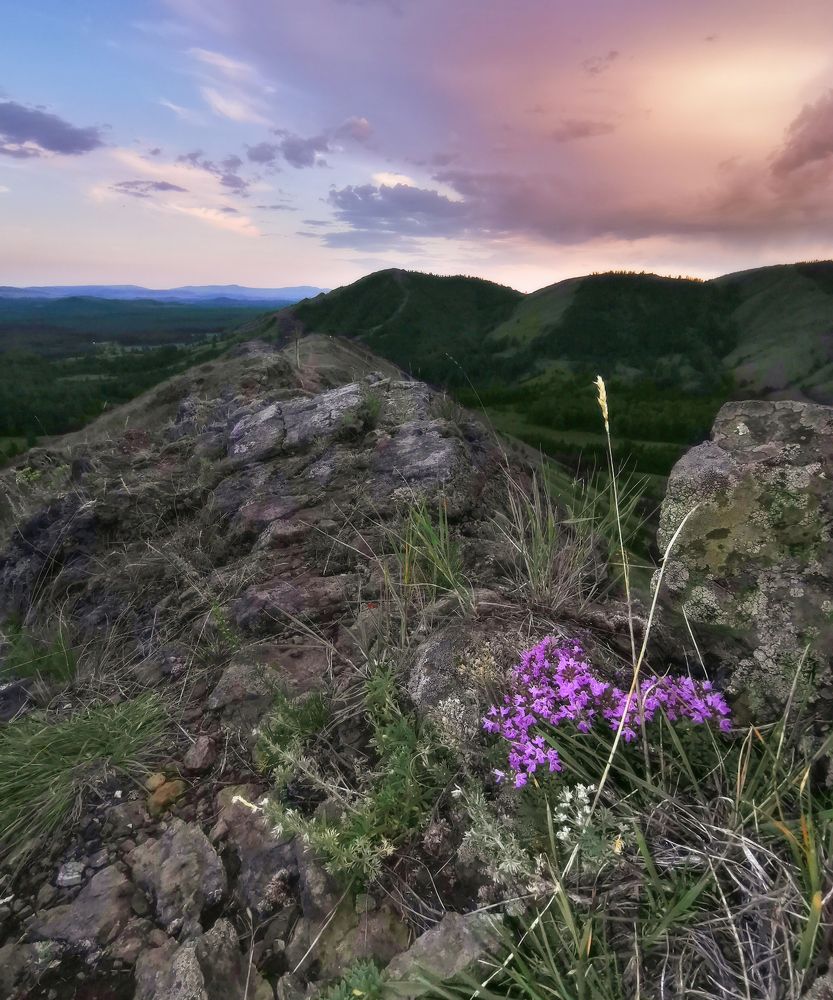 Photograph by Дмитрий Жучков