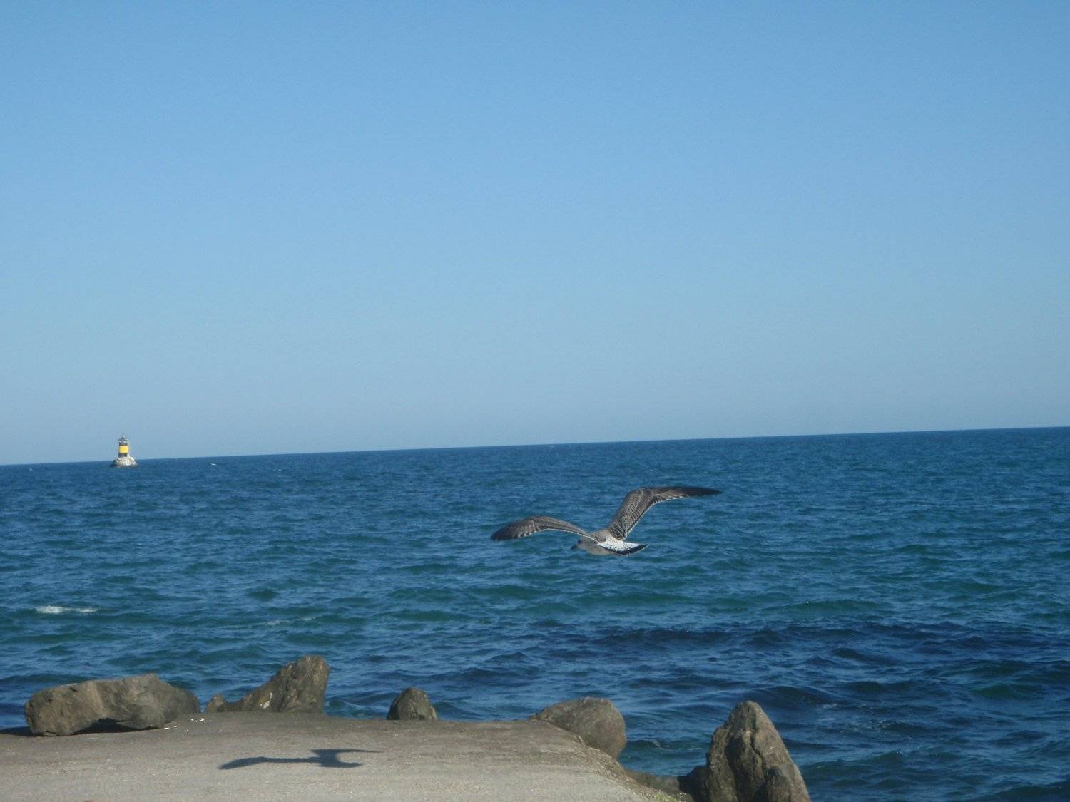 Photo #5648670