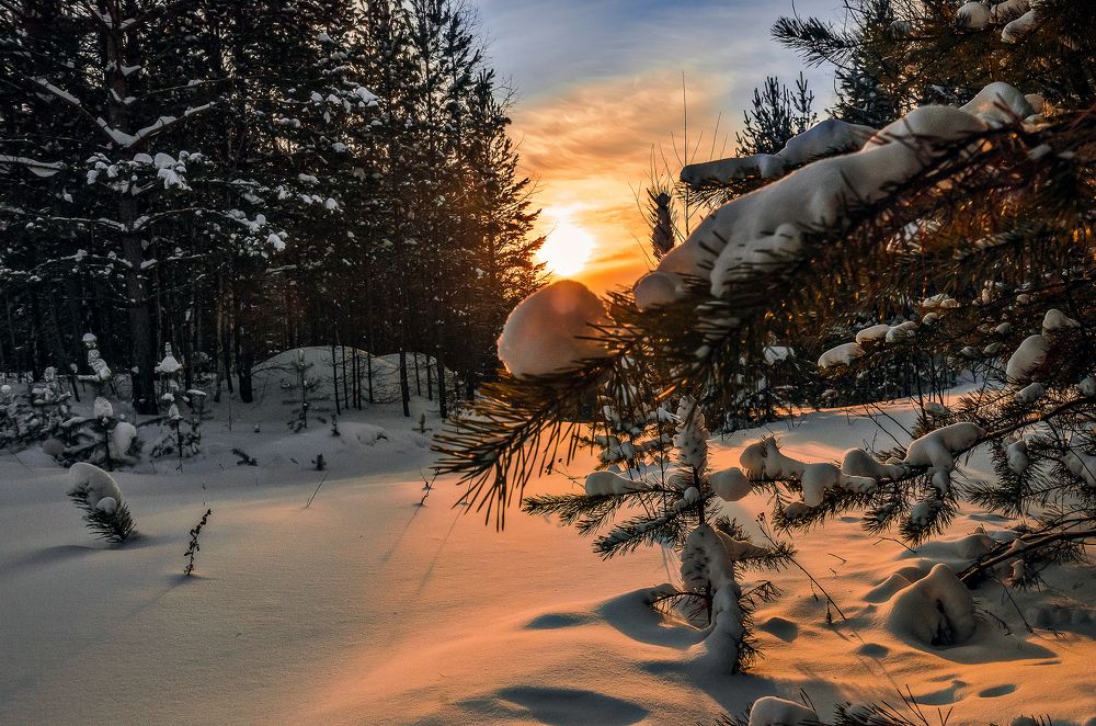 Photograph by Дмитрий Бухтик