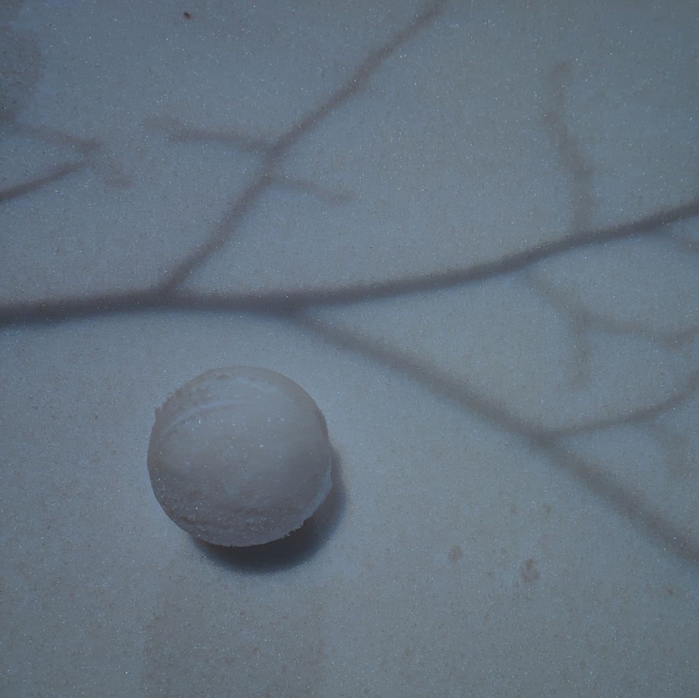 Photograph by Anastasiia