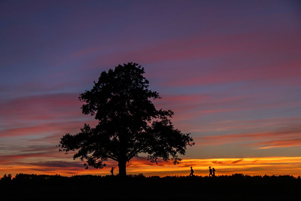 Photograph by Aleksei Kazakov