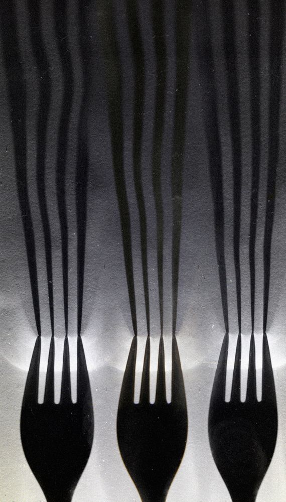 Photograph by Sergey Voronin