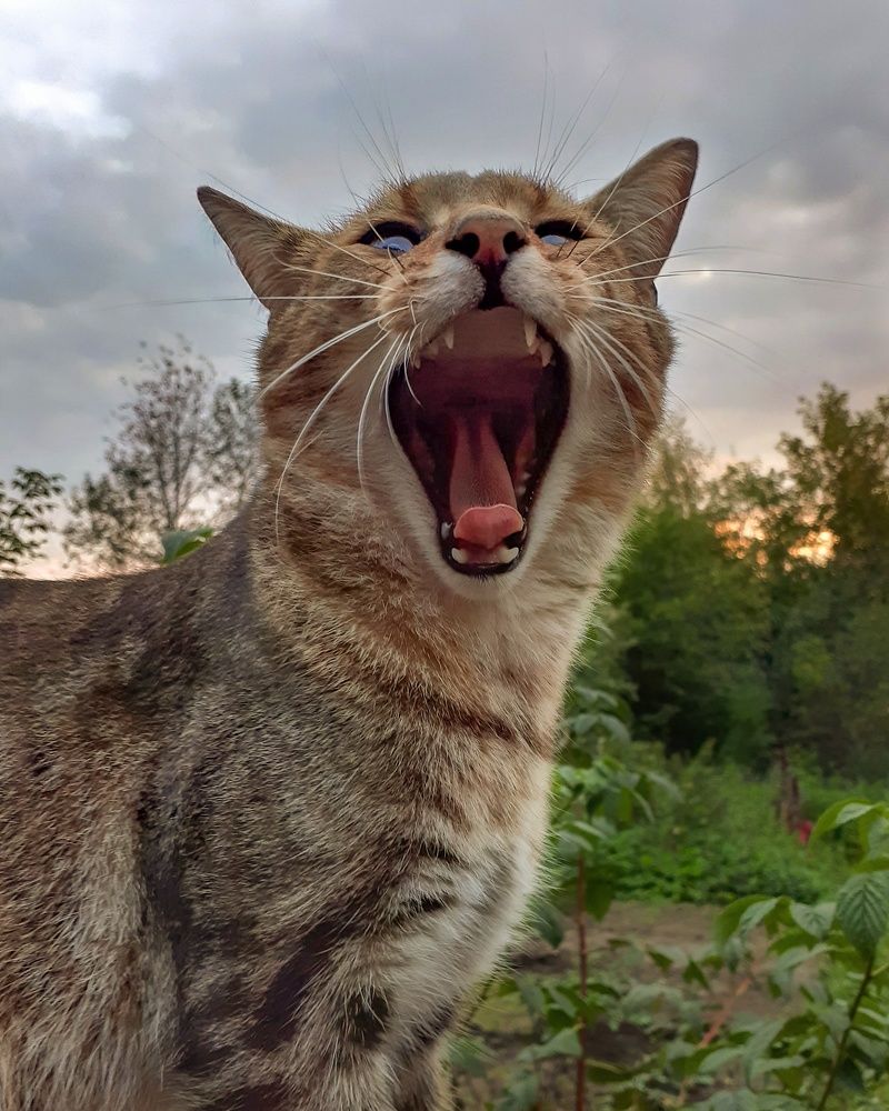 Photograph by Светлана Кондрашова