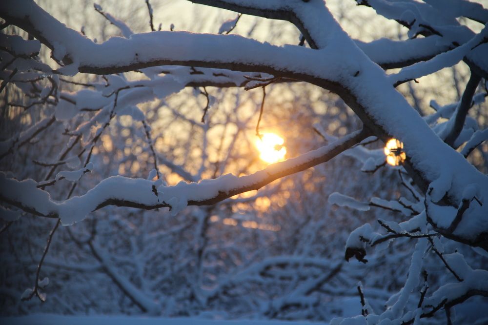 Photograph by Кристина Дугина