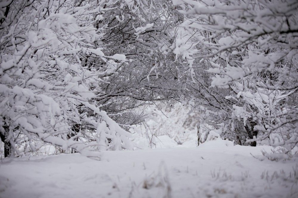 Photograph by Кристина Дугина