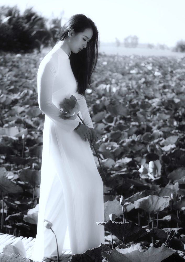 Photograph by Quang Vinh