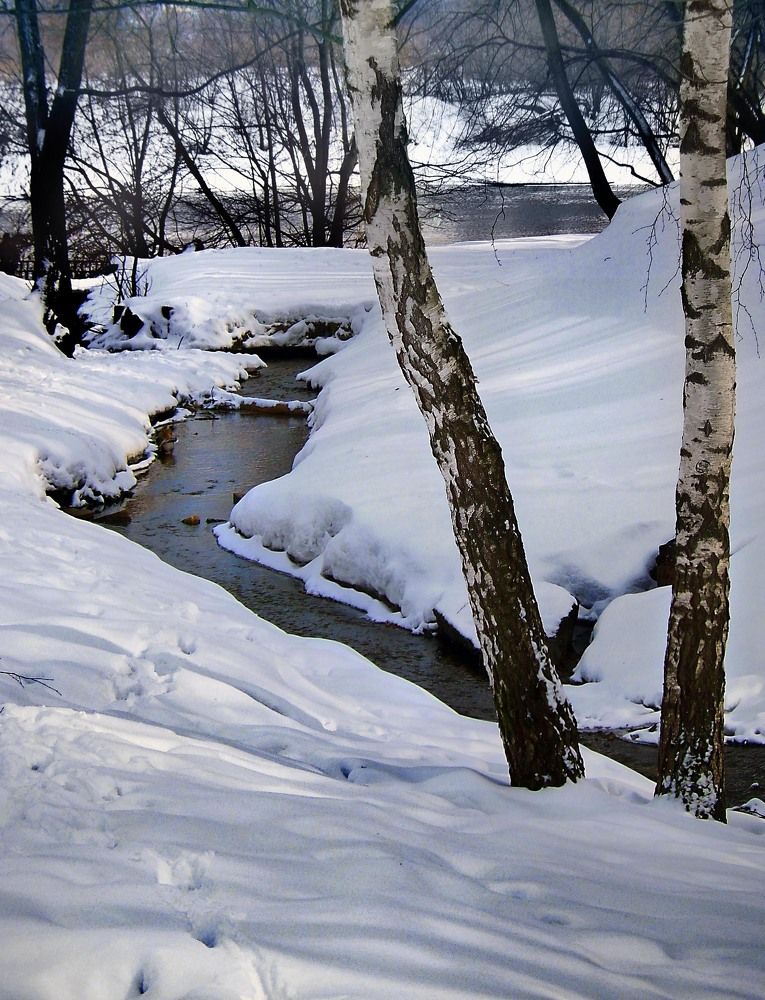 Photograph by Жучков Никита