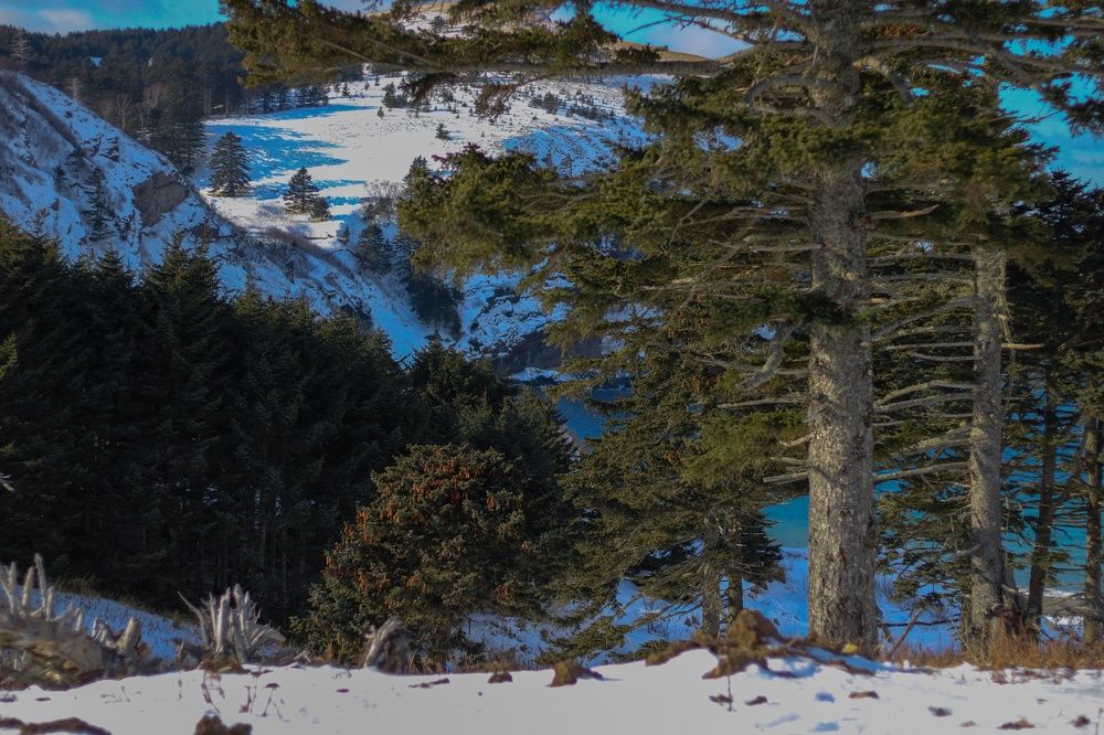 Photograph by Лазурченко Анастасия