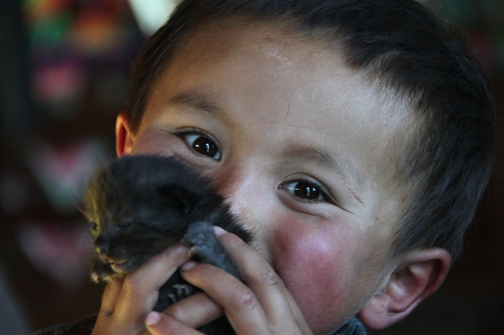Kazakh boy