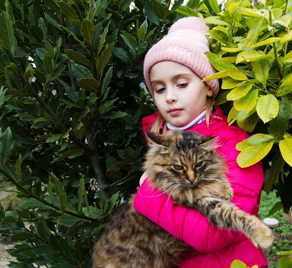 Photograph by Сергей Носов