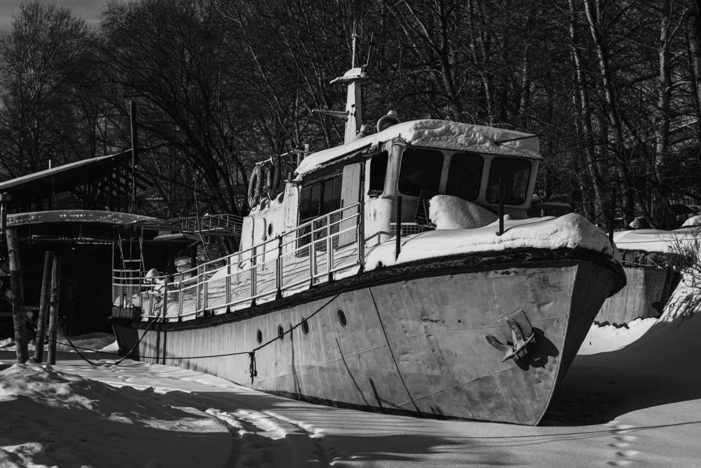 Photograph by Елена Петрюк