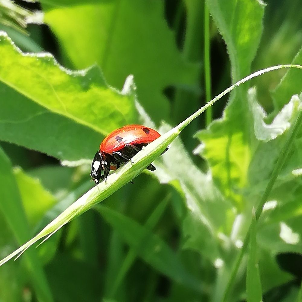 Photograph by Жанерке Хайбулда
