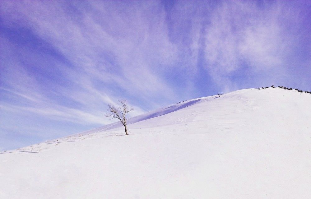 Photograph by ali bakhshi