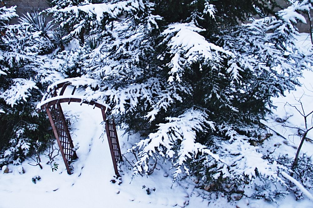 Photograph by Сергей Носов