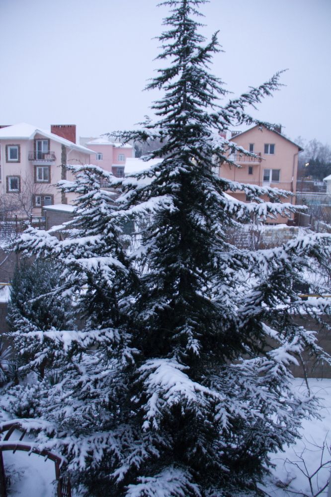 Photograph by Сергей Носов