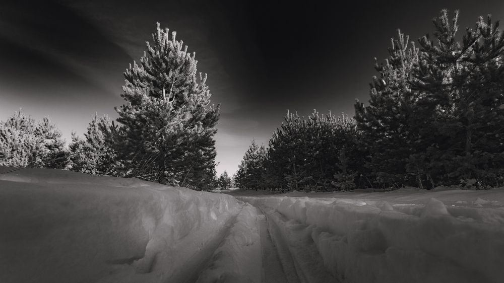 Photograph by Владислав Переродин