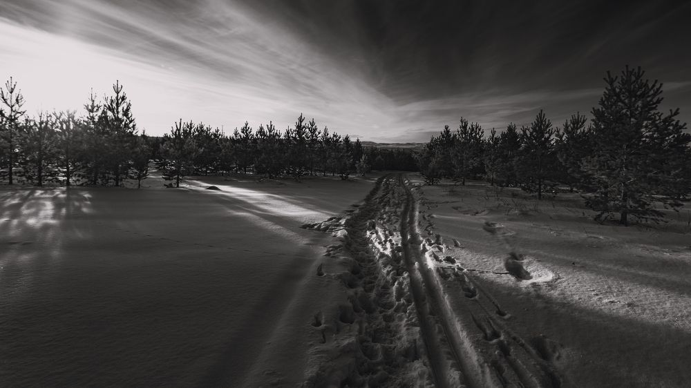 Photograph by Владислав Переродин