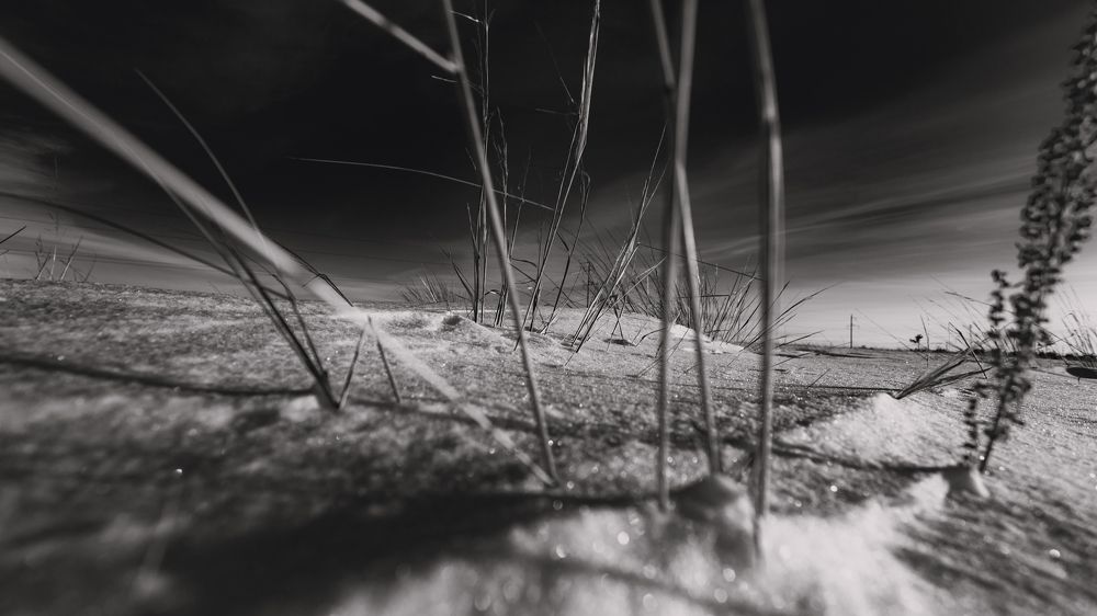 Photograph by Владислав Переродин