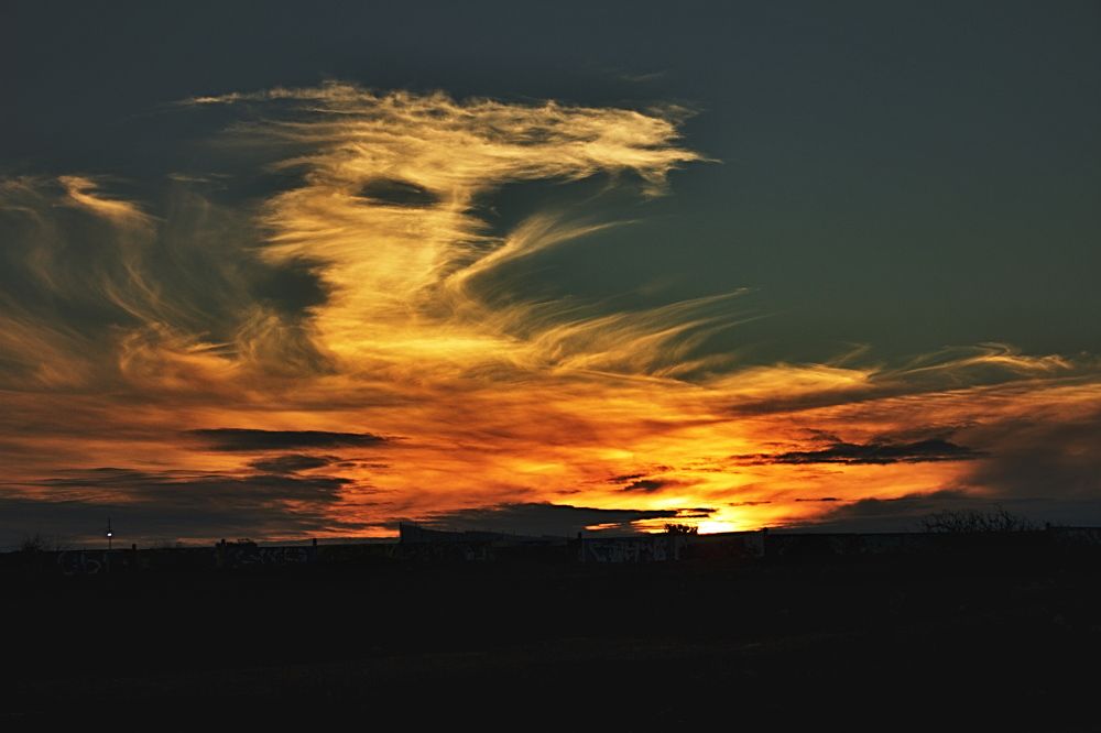 Photograph by Сергей Носов