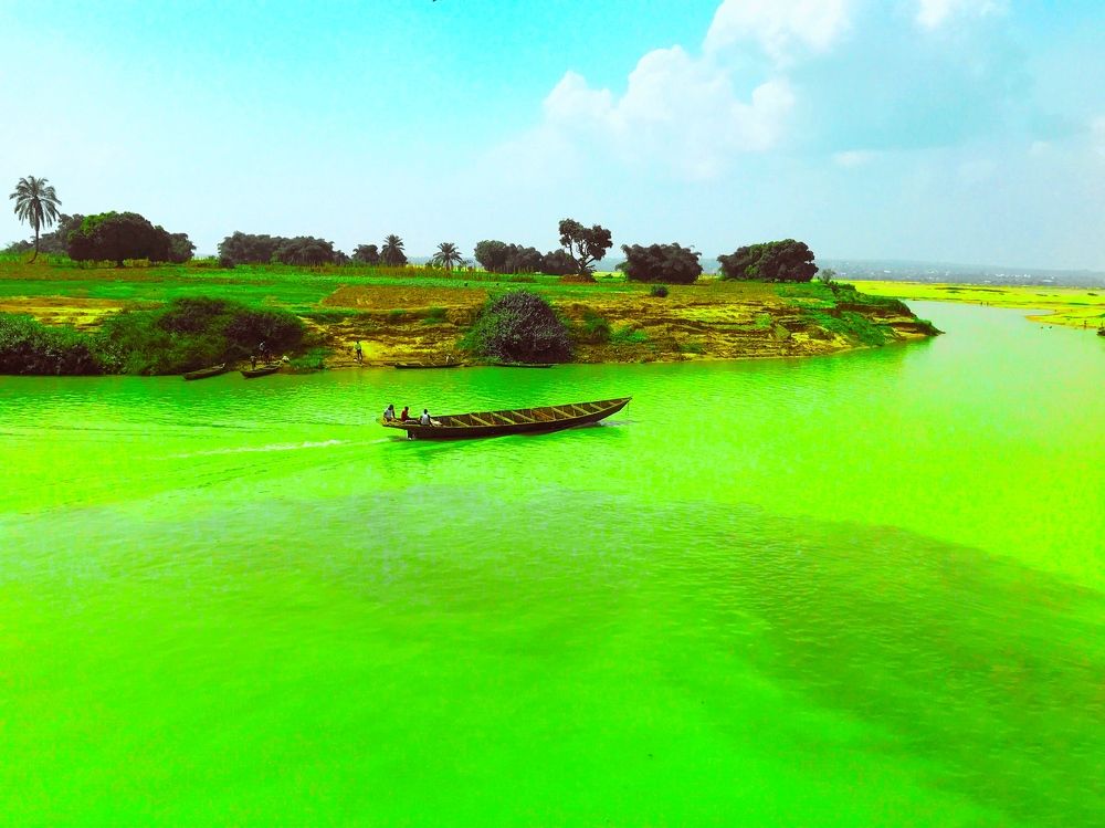 Flooded Green