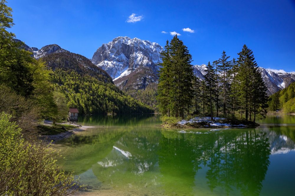 Photograph by SIARHEI RABCHONAK