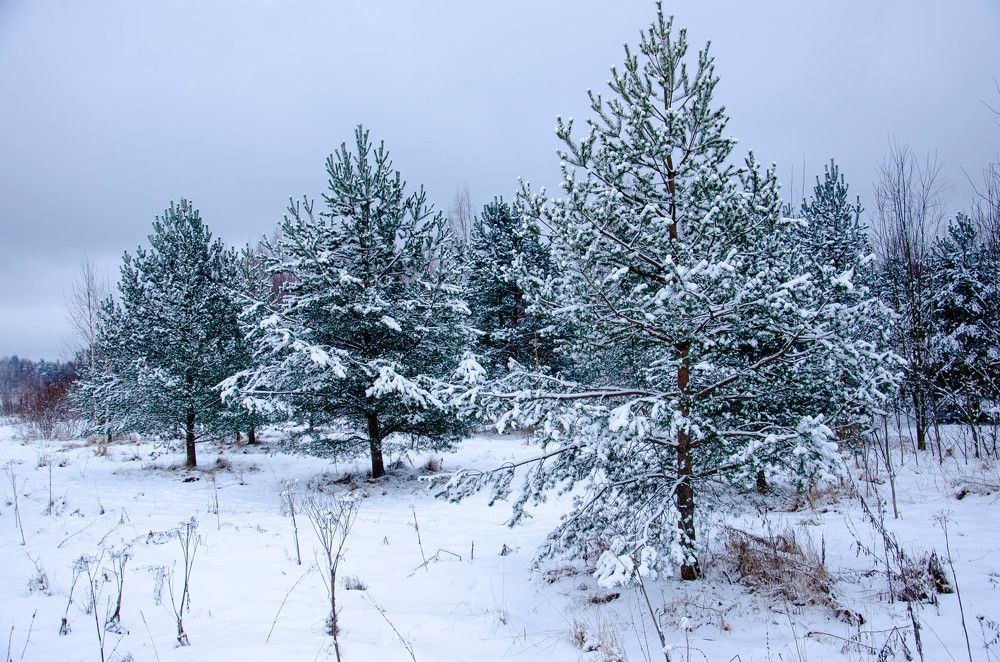 Photograph by Irina Rudneva