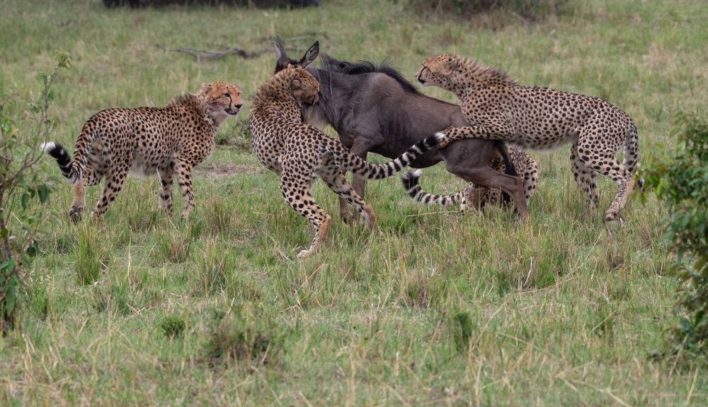 Excellent training by Mother!