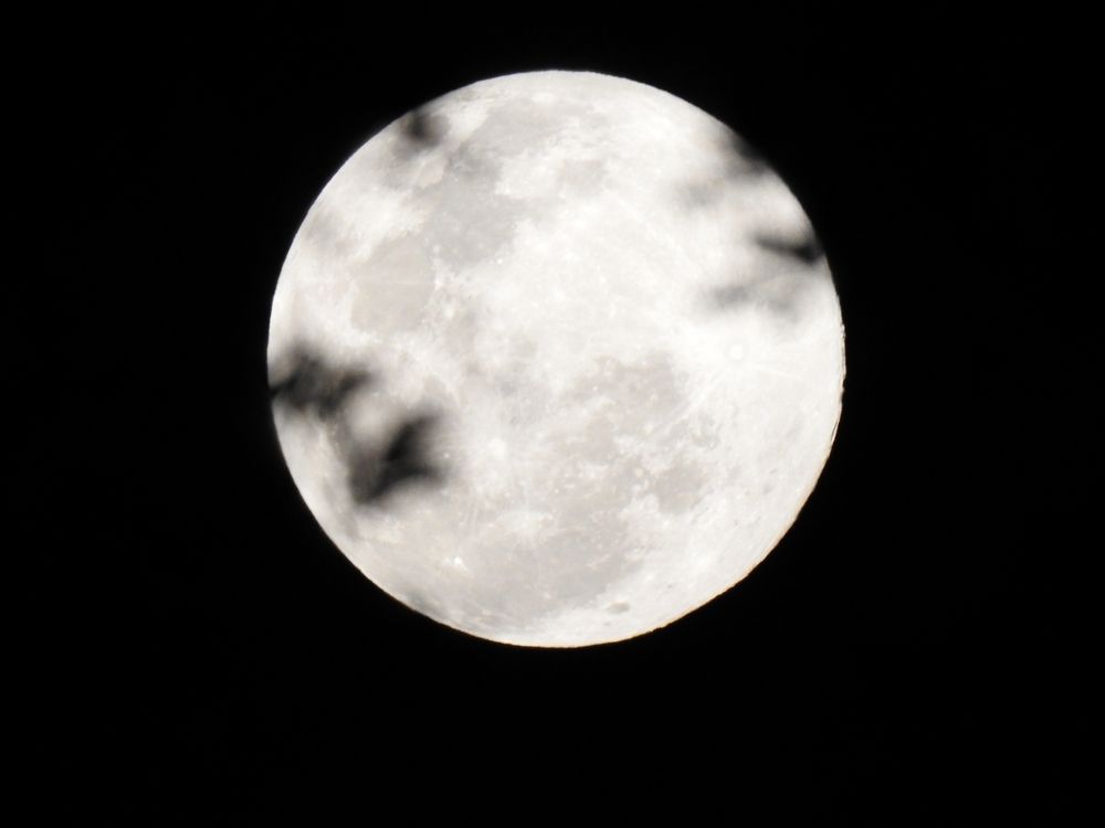 Photograph by Wilvia Dsouza