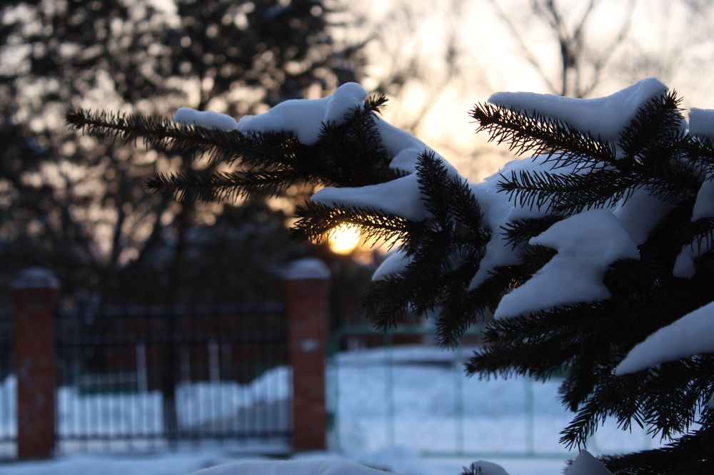 Photograph by Кристина Марчукова