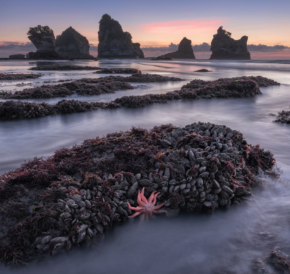 Coast of New Zealand