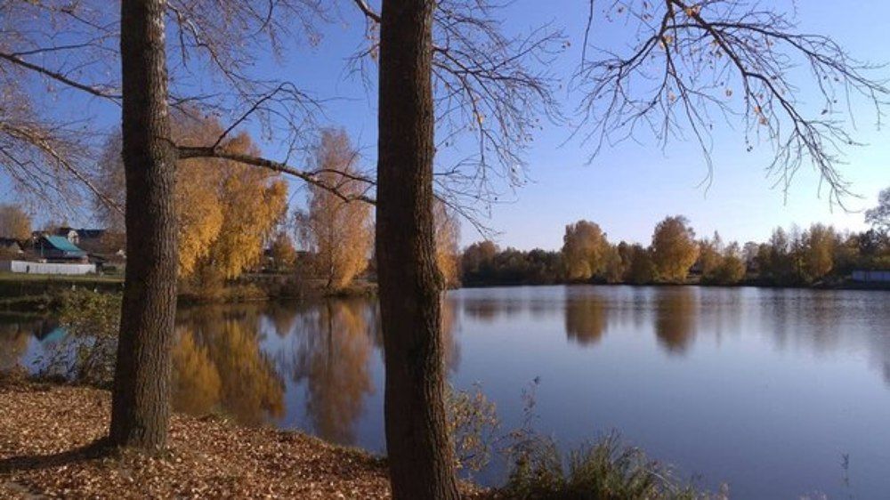 Photograph by Татьяна