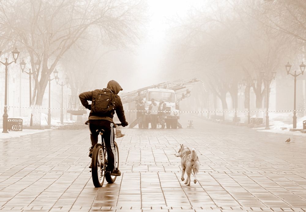 Photograph by Жанна Валиева