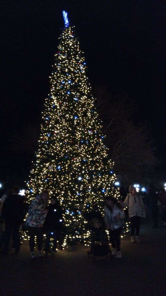 Photograph by Елена Коробкина