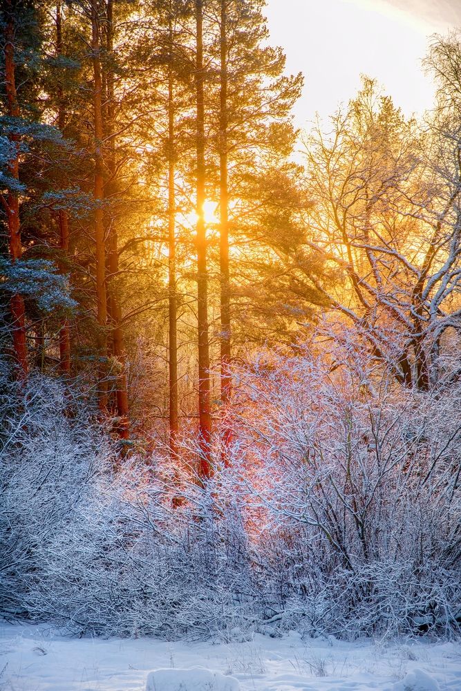 Январские морозы