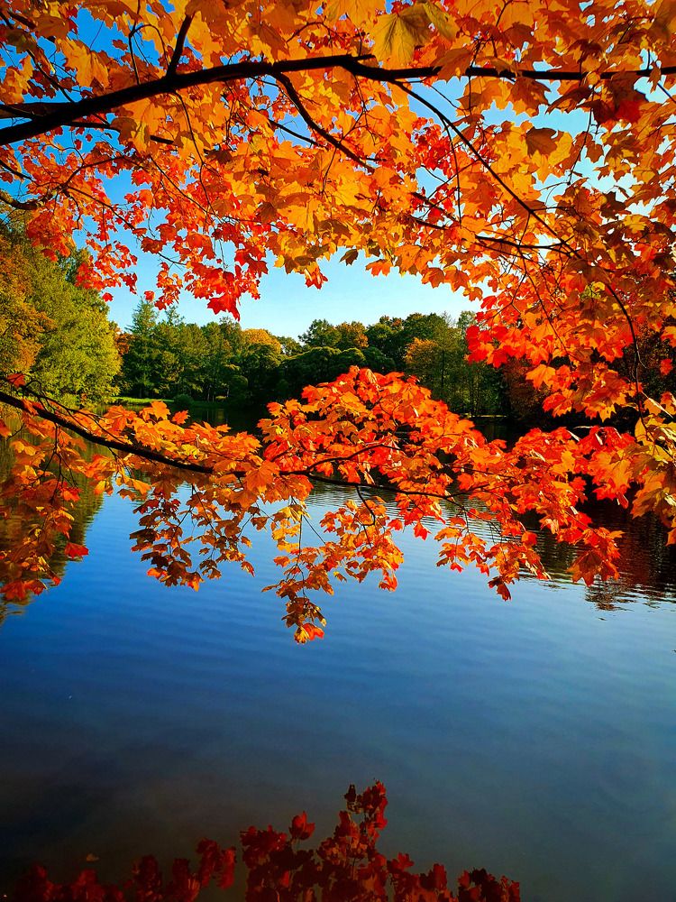 Яркие краски осени.