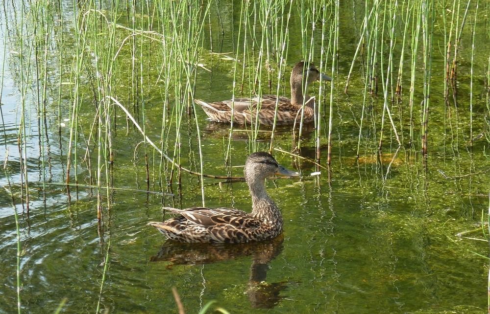 Photograph by Владислав Завальнюк