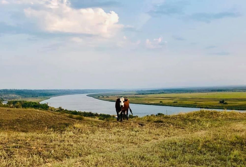 Река Южный Буг.