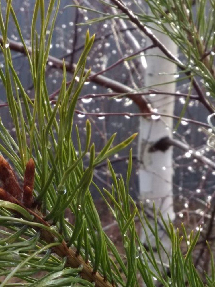 Photograph by Татьяна