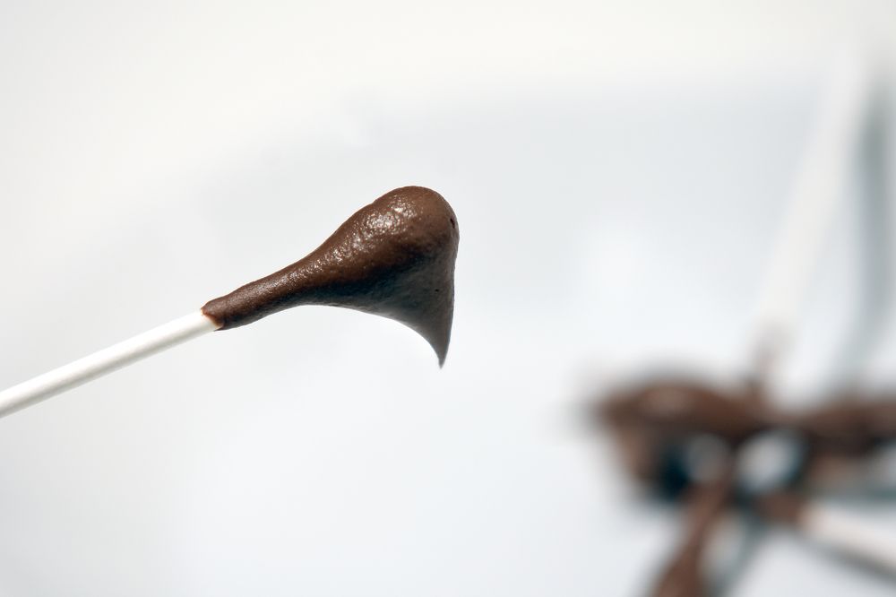 Photograph by Richard Zubelzu