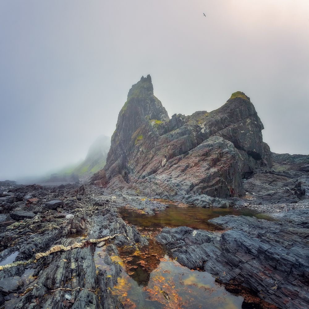 Photograph by Николай Бузмаков