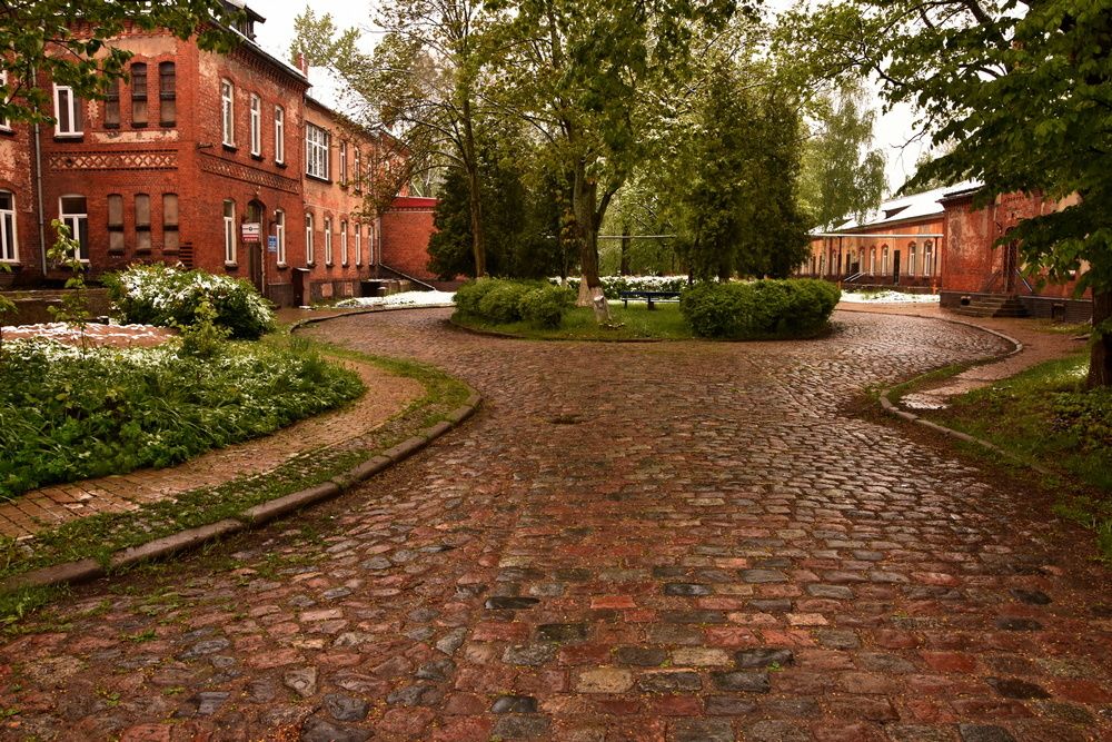 Photograph by Ирина Алексеева