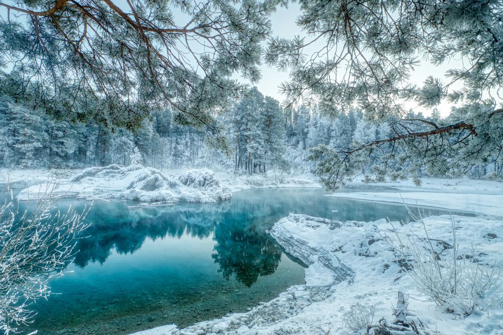 Photograph by Александр Леньков