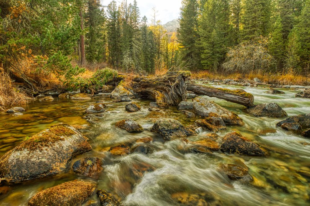 Photograph by Александр Леньков