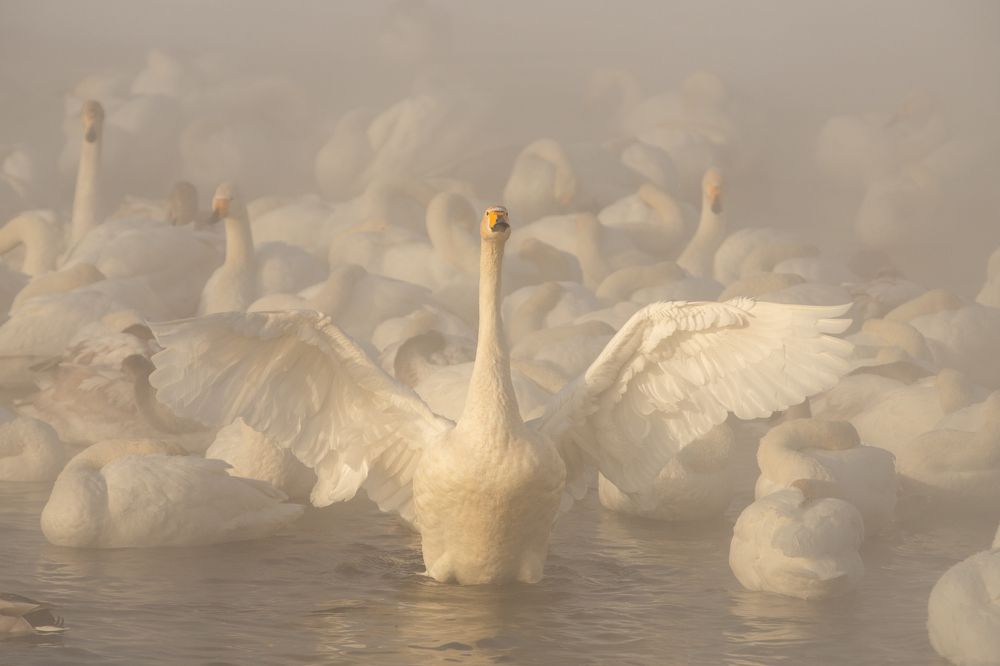 Photograph by Александр Леньков