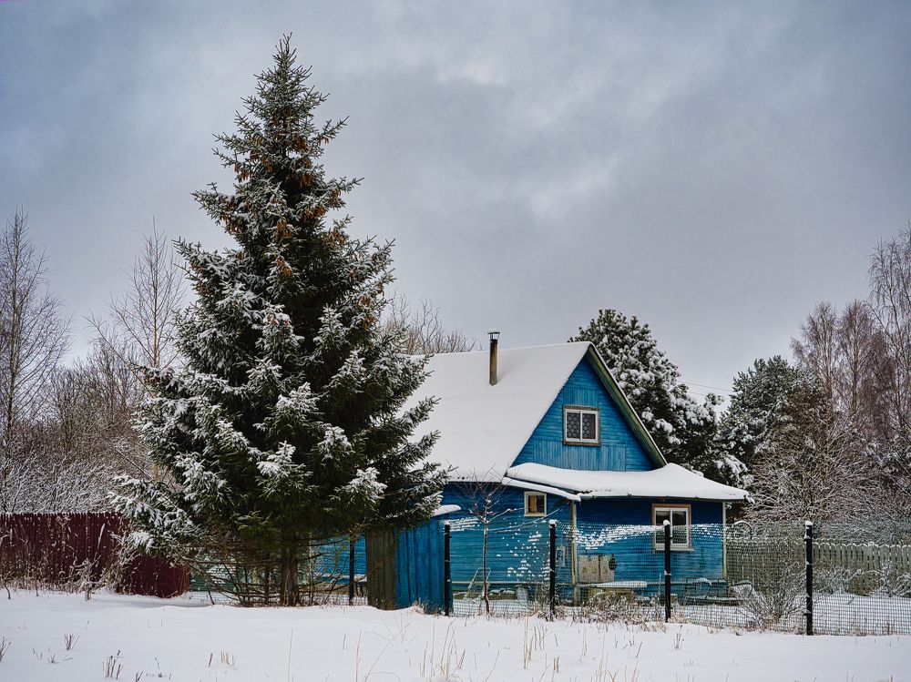 Photograph by Леонид Самойлов