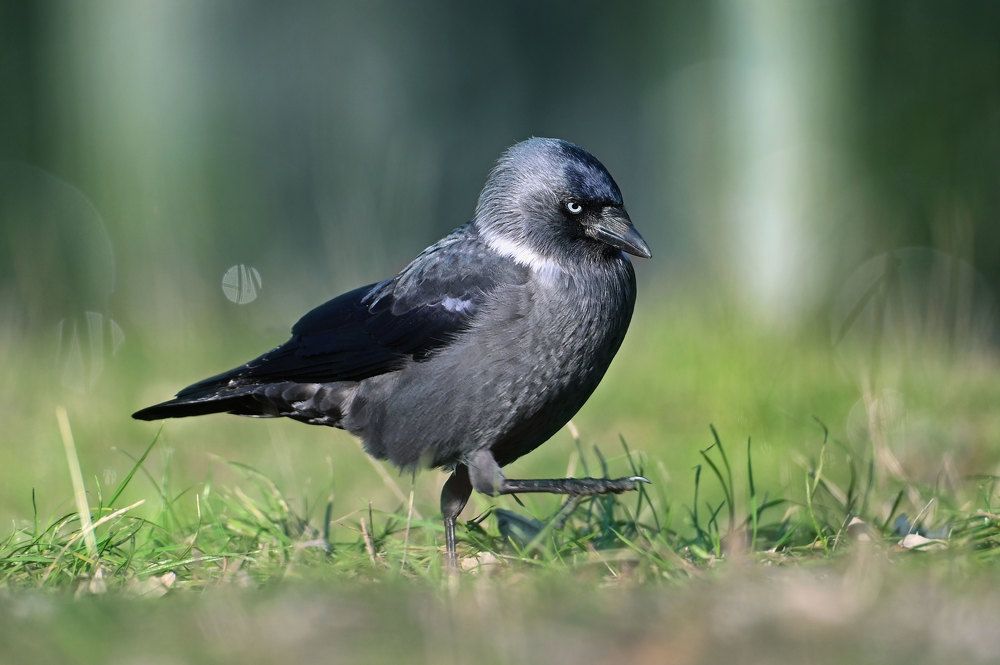 Photograph by Чернобай Анна