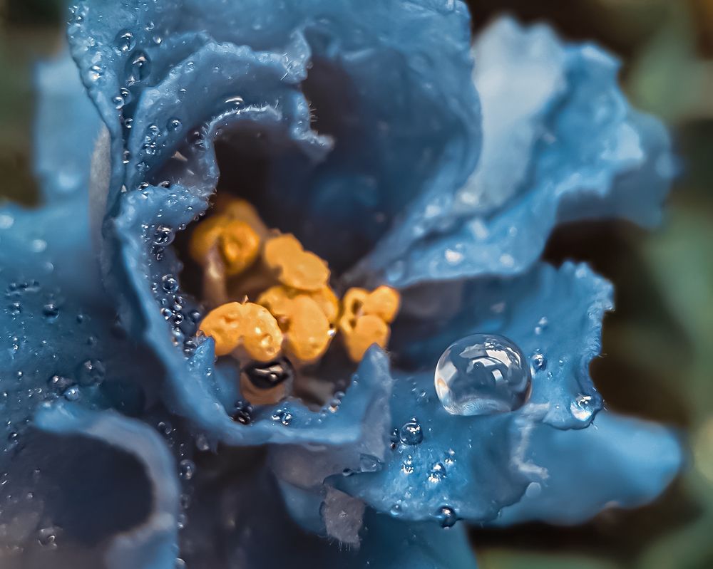 Photograph by Наталья Иванова